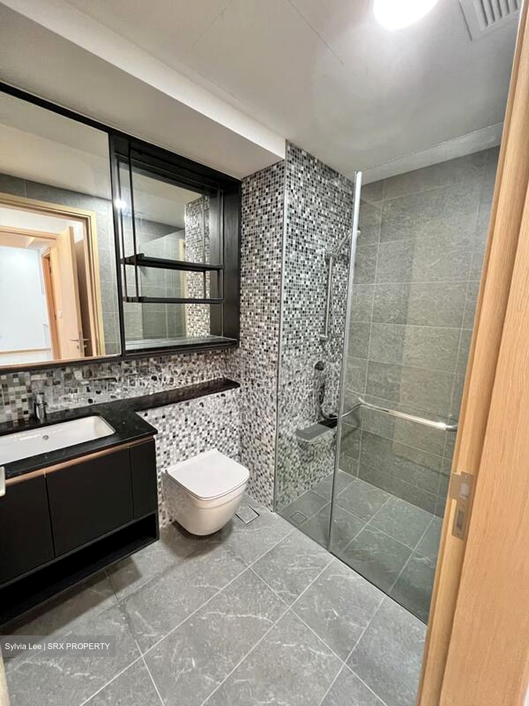 The Antares (D14), Apartment #505804951